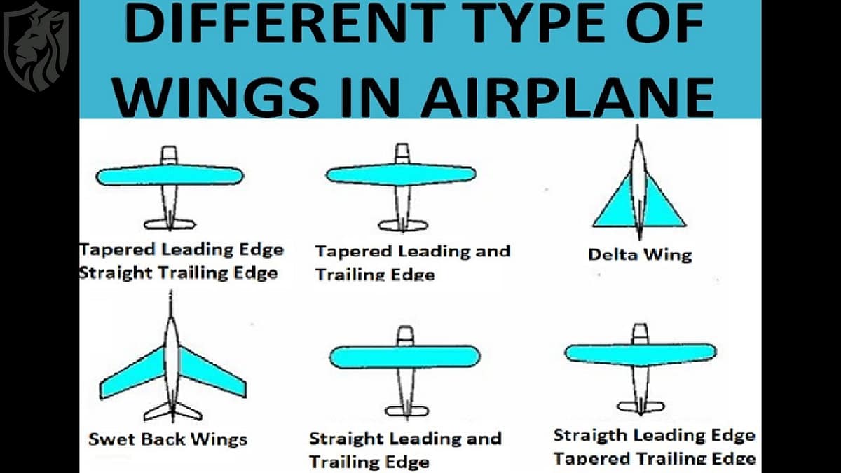 Fighter Jets: Swept Wings vs Delta Wings – Pros and Cons