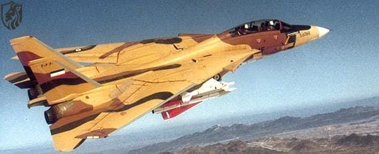 F-14 Tomcat carrying MIM 23 HAWK