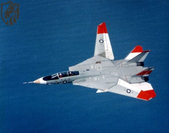 F-14 Tomcat