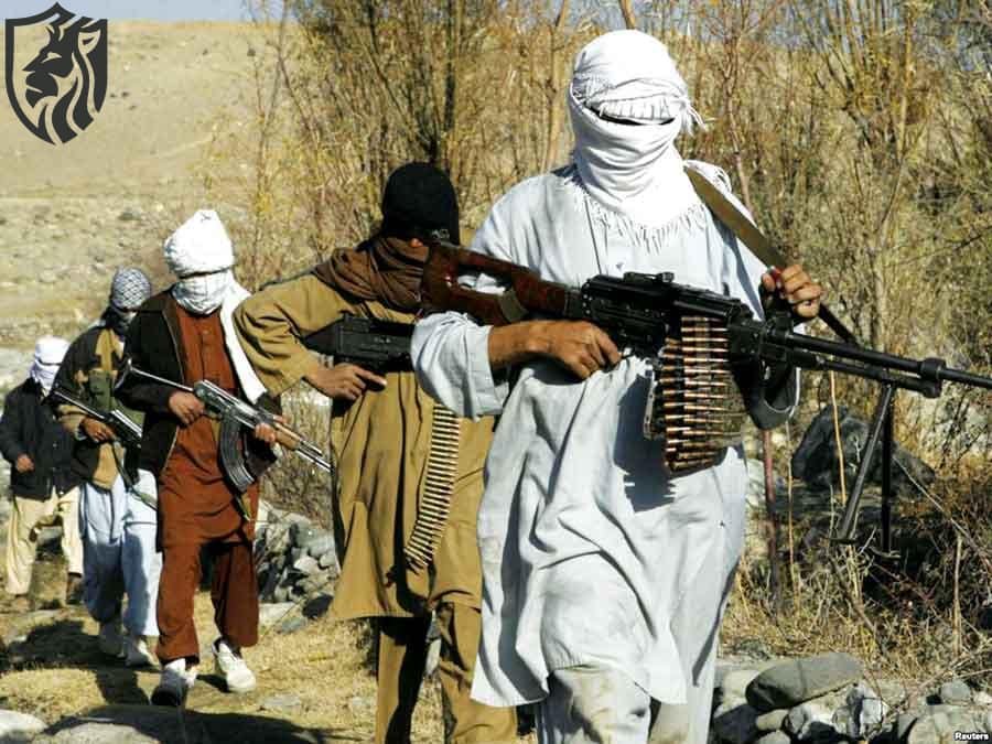 Anti-Pakistan TTP Guerillas - Dutch Arms Sales