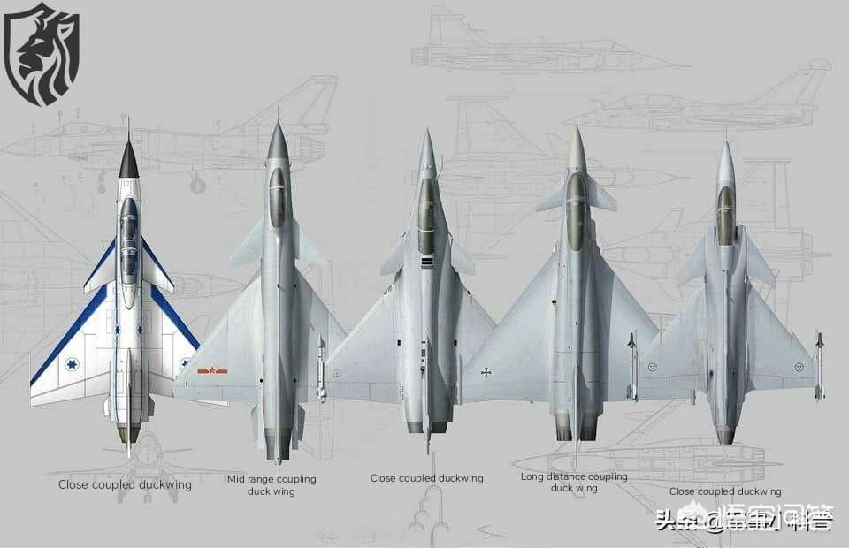 All Delta wing fighter with canards