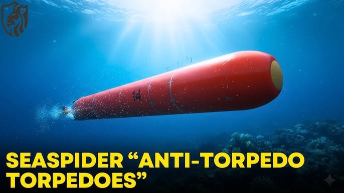 Germany’s Anti-Torpedo Torpedo, 2026 Leaked Purchase