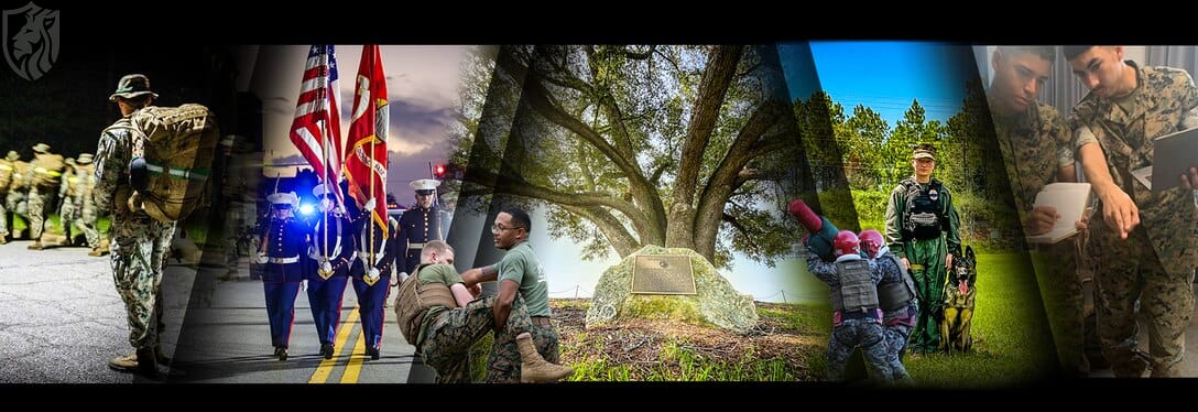 TOP 100 DEFENSE WEBSITES