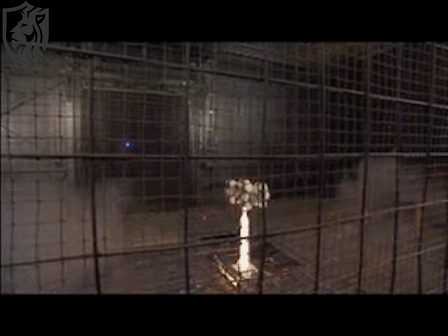 Multiple Kill Vehicle — One Launch, Many Intercepts